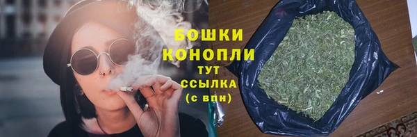 индика Балабаново