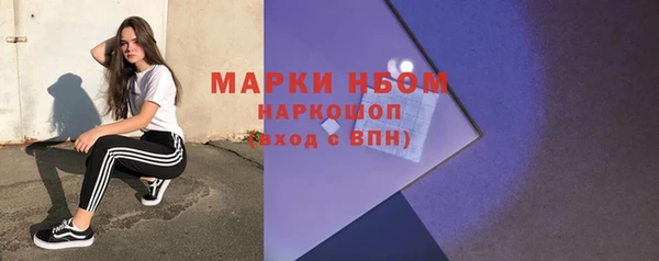 индика Балабаново