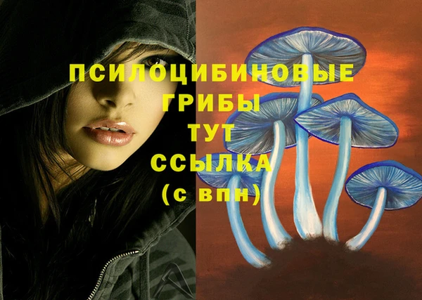 индика Балабаново