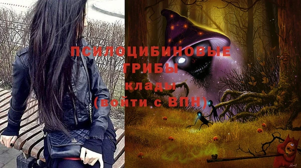 скорость Баксан