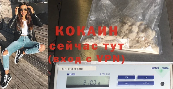индика Балабаново