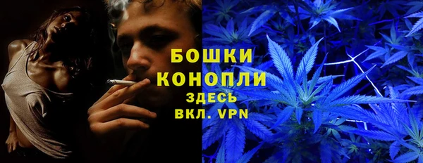 индика Балабаново