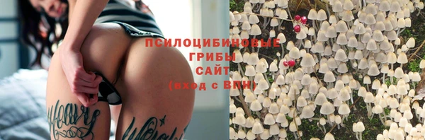 твердый Майский