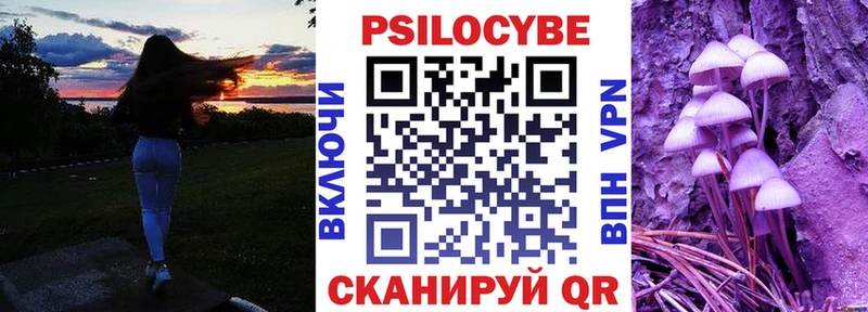 купить закладку  Ленинск  Галлюциногенные грибы прущие грибы 